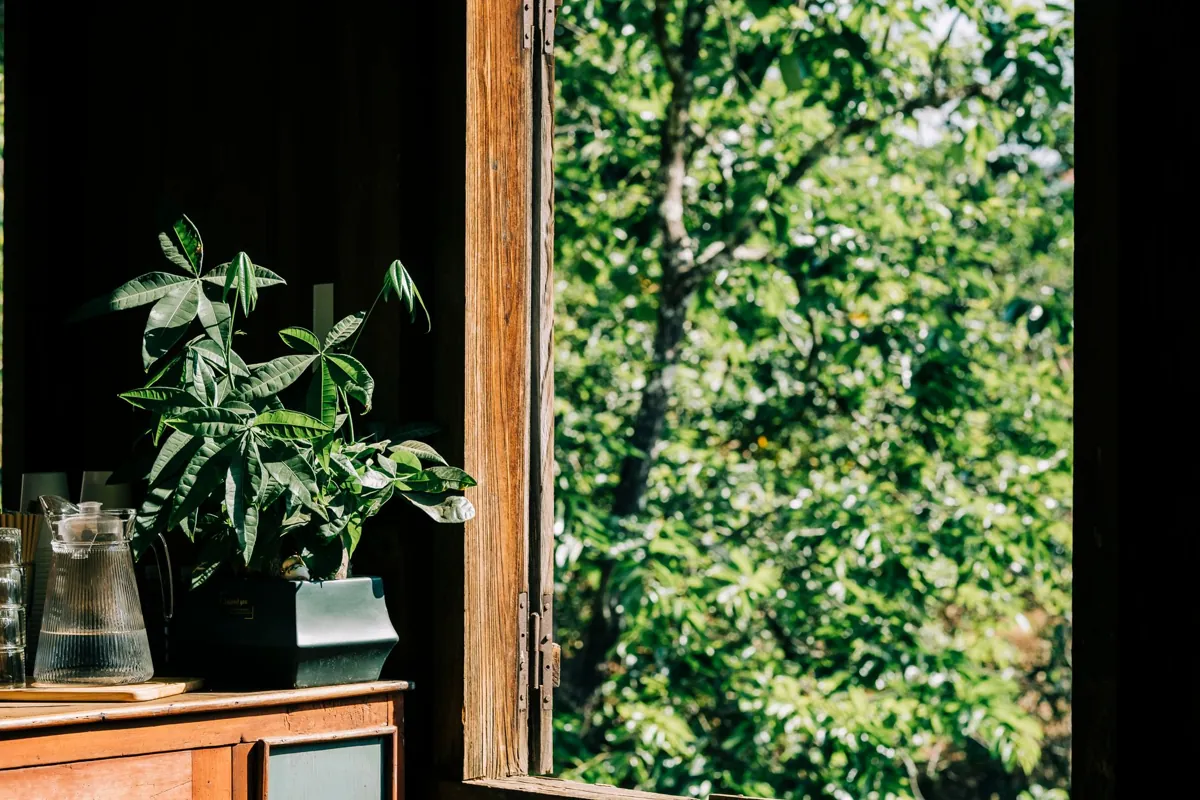 Rentrer de vacances dans une maison qui sent le renfermé