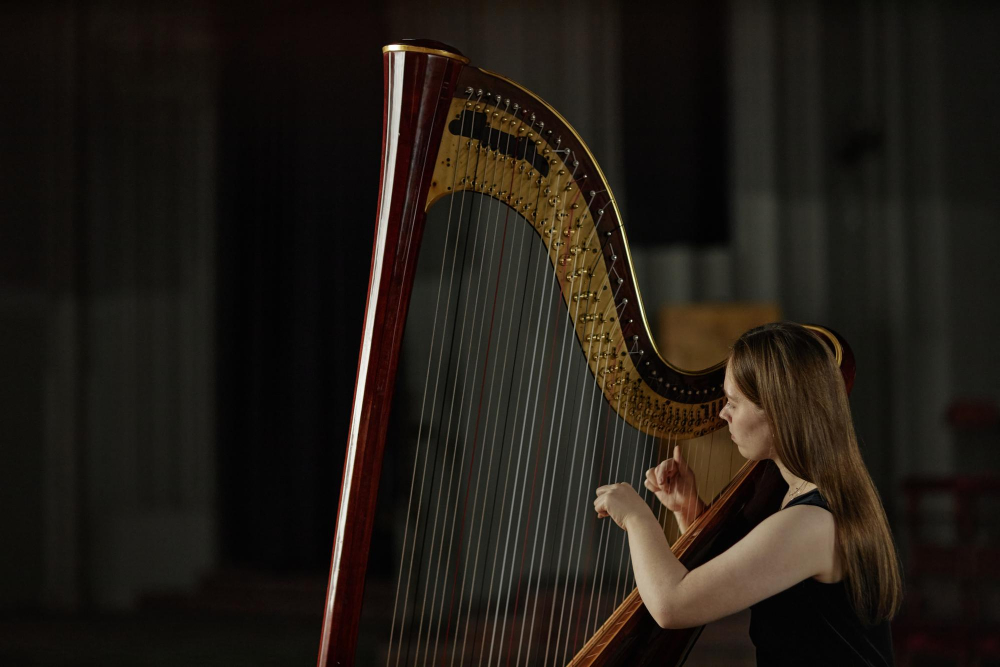 Commencer la harpe sans apprendre immédiatement les pédales
