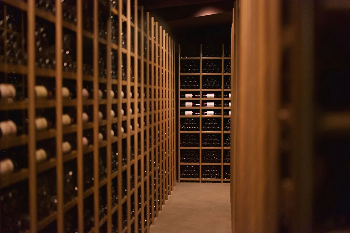 Cave humide : un défaut pour la maison, un atout pour le vin