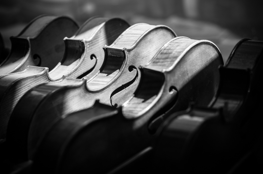 Reprendre le violon à Paris après une longue interruption : par où commencer ?