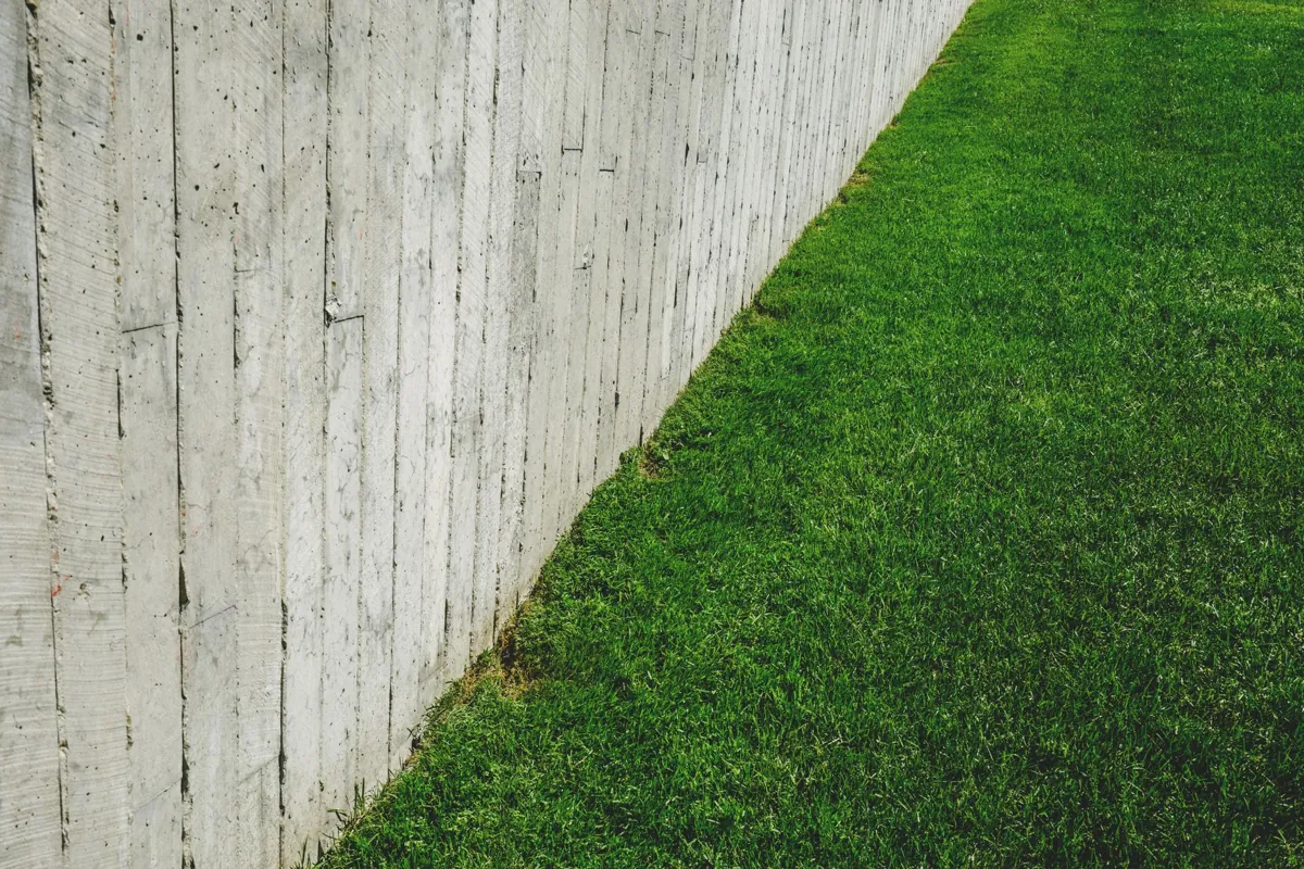 Un trou de 13 centimètres dans votre clôture peut sauver des hérissons