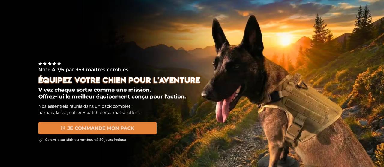 Meilleures boutiques accessoires pour chien en 2026
