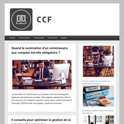 commissaires-aux-comptes-france.fr