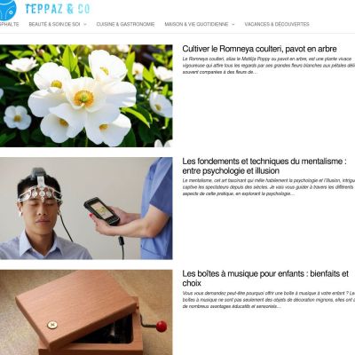 teppaz-and-co.fr