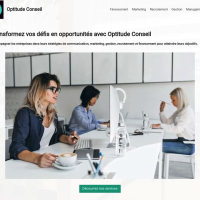 optitude-conseil.fr