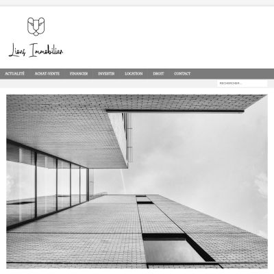 lions-immobilier.com