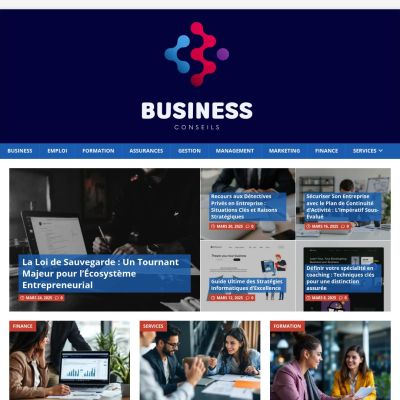 conseils-business.fr