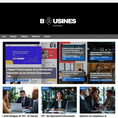 business-ambitieux.fr
