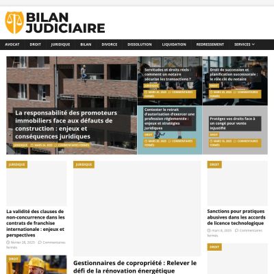 bilanjudiciaire.fr