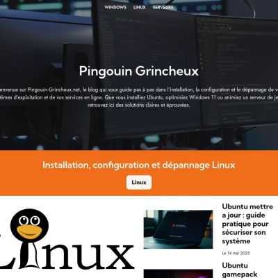pingouin-grincheux.net