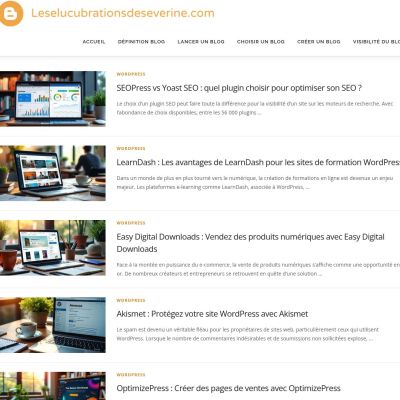 leselucubrationsdeseverine.com
