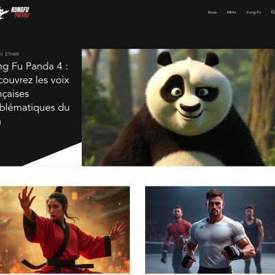 kungfupoitou.fr