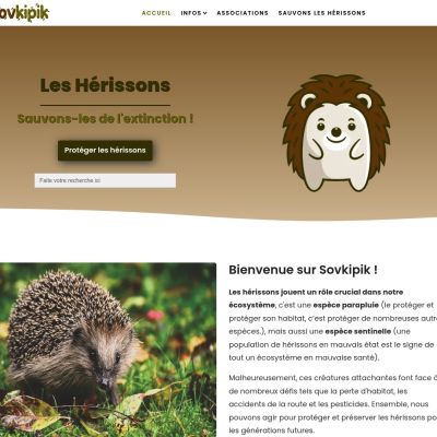 sovkipik.com