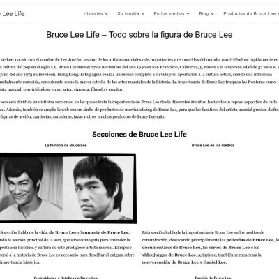 bruceleelife.com