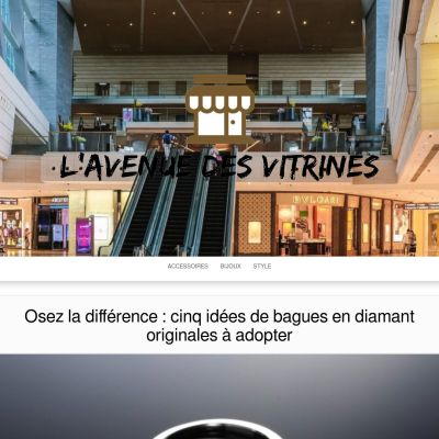 avenuedesvitrines87.fr