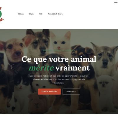 agnya.fr
