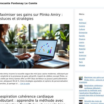 emmaus-fontenay-le-comte.fr